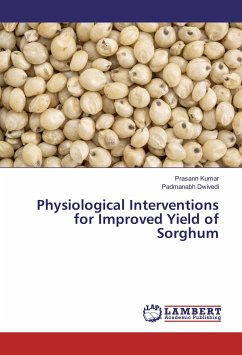Physiological Interventions for Improved Yield of Sorghum