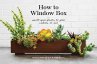 How to Window Box - Bild 1