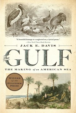 The Gulf - Davis, Jack E