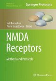 NMDA Receptors