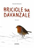 Briciole sul davanzale Briciole sul davanzale