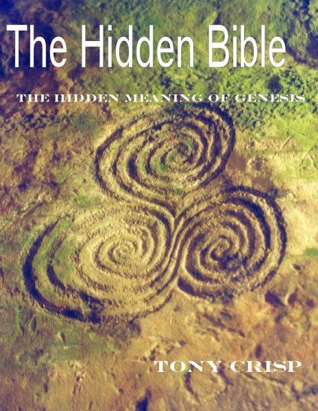 The Hidden Bible (eBook, ePUB)