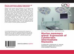 Murine mammary gland: Expression of cytokeratin intermediate filaments - Martínez Pérez, José Manuel;MaurizTurrado, Isabel