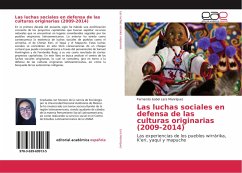 Las luchas sociales en defensa de las culturas originarias (2009-2014) - Lara Manríquez, Fernanda Isabel