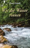 Wie die Wasser rinnen (eBook, ePUB)