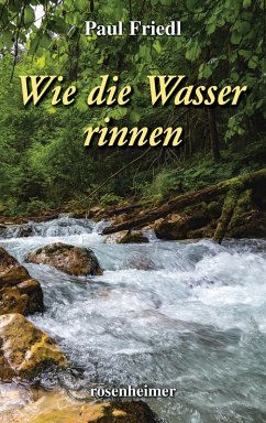 Wie die Wasser rinnen (eBook, ePUB) - Friedl, Paul