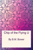 Chip of the Flying U (eBook, PDF)