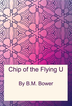 Chip of the Flying U (eBook, PDF) - Bower, B.m.