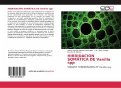 HIBRIDACIÓN SOMÁTICA DE Vanilla spp