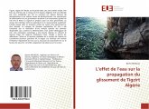 L¿effet de l¿eau sur la propagation du glissement de Tigzirt Algérie