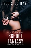 School Fantasy (eBook, ePUB)