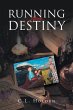 Running From Destiny - Bild 1