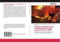 Flujos Turbulentos y Transitorios en los puertos de la SEN - Calderón Ramos, Ismael;Morales, Rodolfo D.;Servín C., Rumualdo