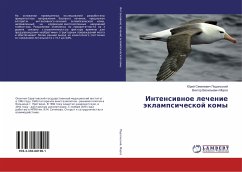 Cover Intensiwnoe lechenie äklampsicheskoj komy