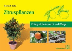 Zitruspflanzen - Beltz, Heinrich