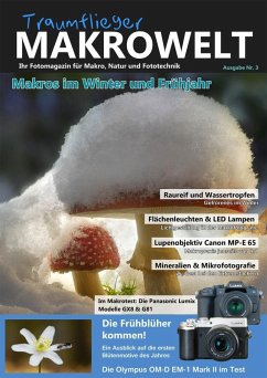 Traumflieger Makrowelt Ausgabe Nr. 3 (eBook, ePUB) - Groß, Stefan; Craasmann, Olaf