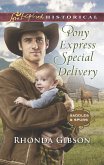 Pony Express Special Delivery (Saddles and Spurs, Book 5) (Mills & Boon Love Inspired Historical) (eBook, ePUB)