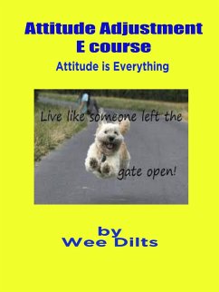 Attitude Adjustment E course (eBook, ePUB) - Dilts, Wee