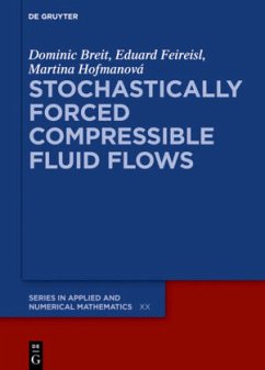 Stochastically Forced Compressible Fluid Flows - Breit, Dominic;Feireisl, Eduard;Hofmanová, Martina
