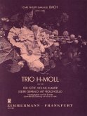Trio h-Moll Trio h-Moll