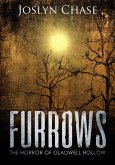 Furrows (eBook, ePUB)