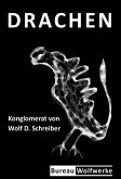 Drachen (eBook, ePUB)