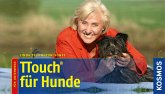 TTouch für Hunde (eBook, PDF)