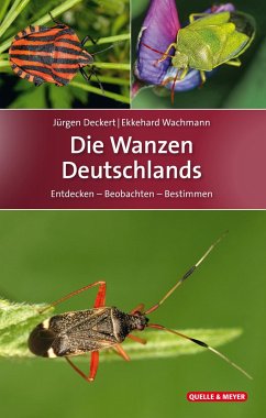 Die Wanzen Deutschlands - Deckert, Jürgen;Wachmann, Ekkehard