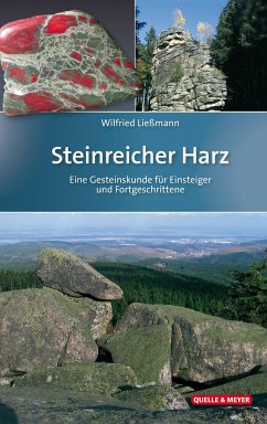 Steinreicher Harz - Ließmann, Wilfried