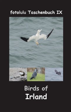 Birds of Irland (eBook, ePUB)