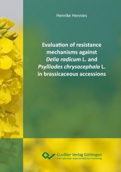 Evaluation of resistance mechanisms against Delia radicum L. and Psylliodes chrysocephala L. in brassicaceous accessions - Hennies, Henrike