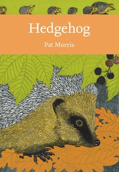 Hedgehog - Morris, Pat