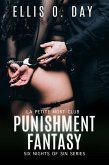 Punishment Fantasy (eBook, ePUB)