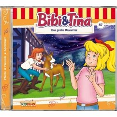 Das große Unwetter / Bibi & Tina Bd.87 (Audio-CD)