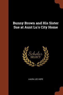 Bunny Brown and His Sister Sue at Aunt Lu's City Home