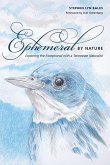 Ephemeral by Nature: Exploring the Exceptional with a Tennessee Naturalist