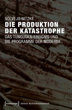 Die Produktion der Katastrophe (eBook, PDF) - Nitzke, Solvejg