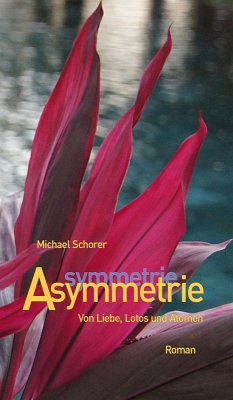 Asymmetrie (eBook, ePUB) - Schorer, Michael