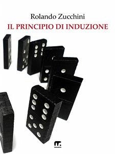 Il principio di induzione (eBook, ePUB) - Zucchini, Rolando