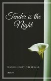 Tender is the Night (eBook, ePUB)