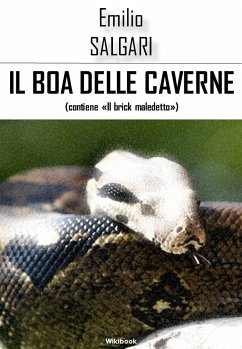 Cover Il boa delle caverne (eBook, ePUB)