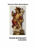 Frohe Botschaft in Bildern (eBook, ePUB)