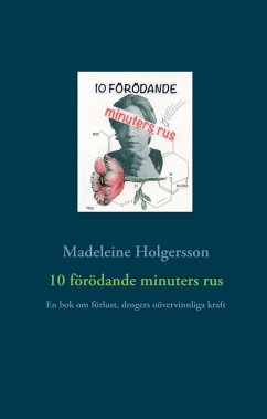 10 förödande minuters rus (eBook, ePUB) - Holgersson, Madeleine