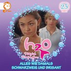 23: Alles wie damals / Schwarzweiß und brisant (MP3-Download)