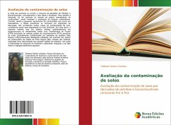Cover Avaliação da contaminação de solos