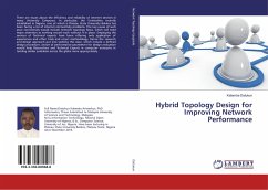 Hybrid Topology Design for Improving Network Performance