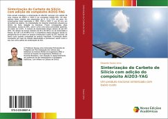 Sinterização do Carbeto de Silício com adição do compósito Al2O3-YAG - Sousa Lima, Eduardo