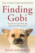 Finding Gobi (Main edition) - Bild 1