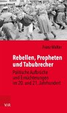 Rebellen, Propheten und Tabubrecher (eBook, PDF)