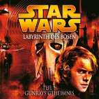 Labyrinth des Bösen - Teil 1: Gunrays Geheimnis (MP3-Download)